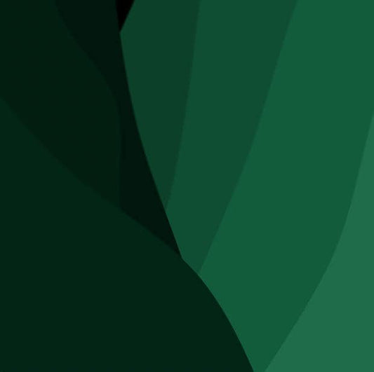 Coral Green - iPhone Wallpaper