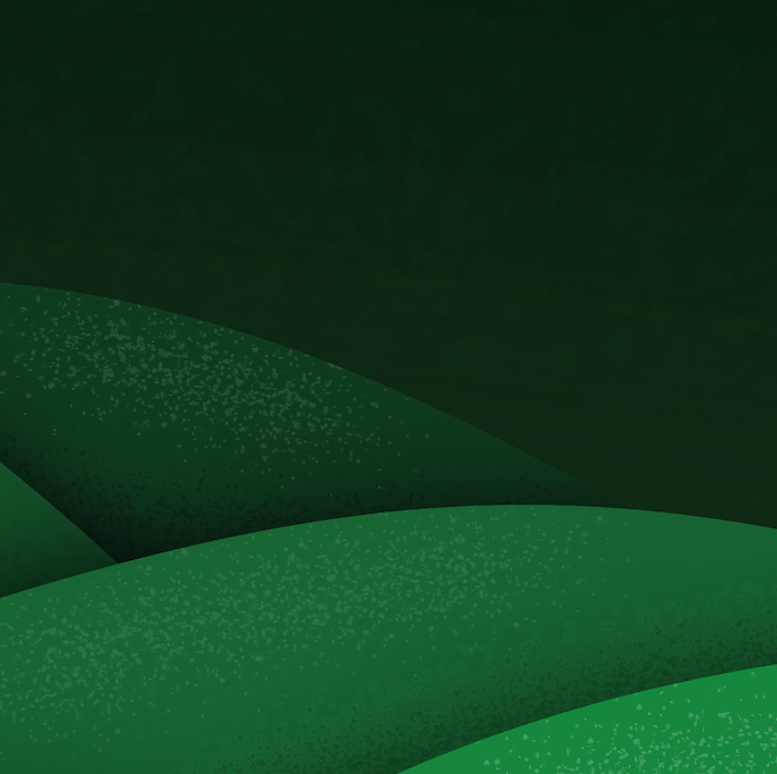 Grainy Valley Moss - iPhone Wallpaper